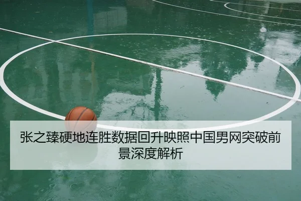张之臻硬地连胜数据回升映照中国男网突破前景深度解析